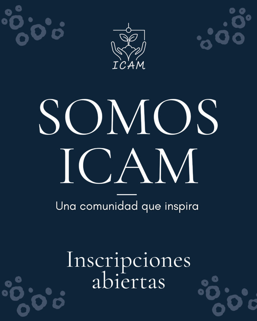 icam (1080 x 1350 px)